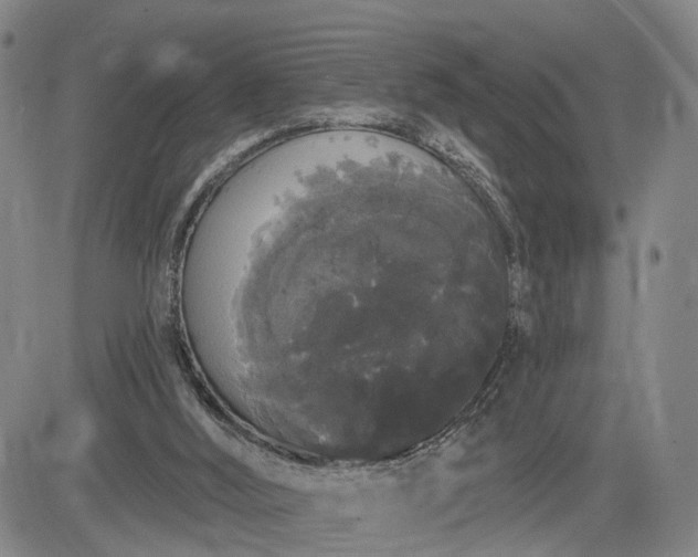 X0000084580012200703021542