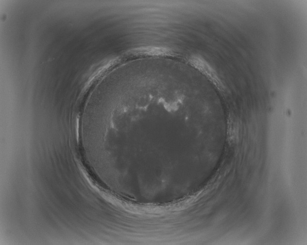 X0000084580014200703021542
