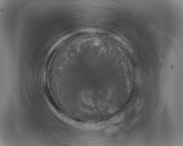 X0000084580016200703021542