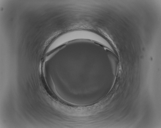 X0000084580019200703021542