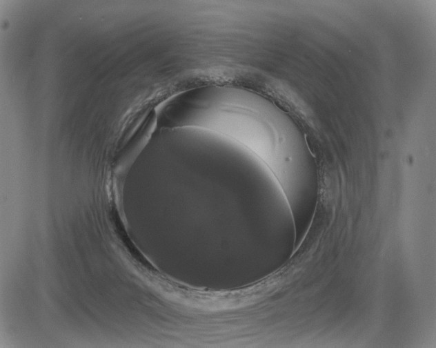 X0000084580023200703021542