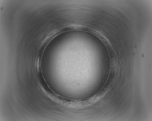 X0000084580024200703021542