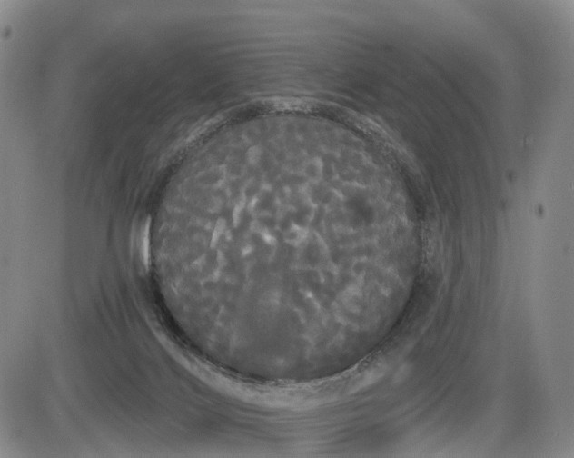 X0000084580028200703021542