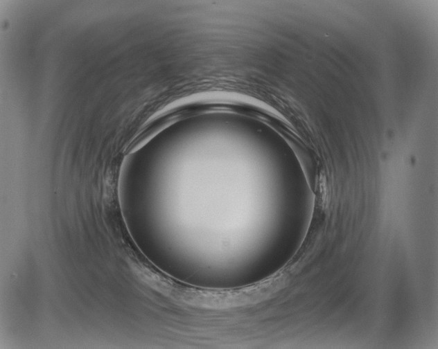 X0000084580037200703021542