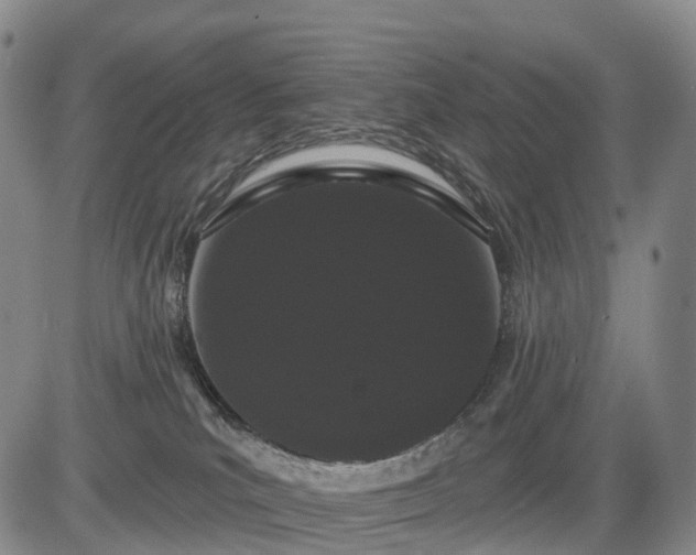 X0000084580039200703021542