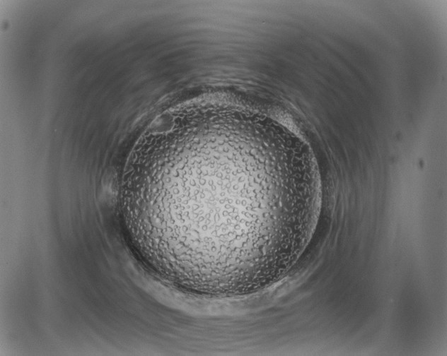 X0000084580040200703021542
