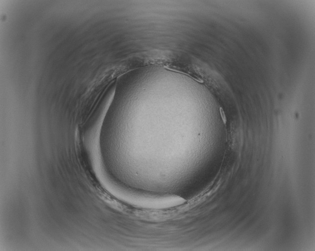 X0000084580041200703021542