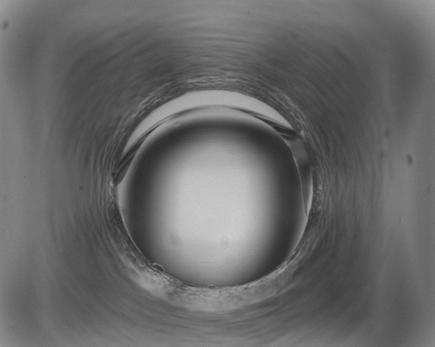 X0000084580045200703021542