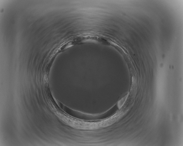 X0000084580048200703021542