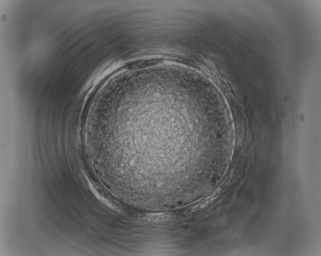 X0000084580050200703021541