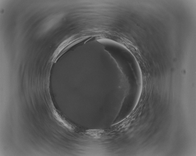 X0000084580051200703021541