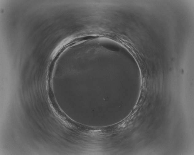 X0000084580054200703021541
