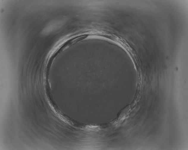 X0000084580055200703021541