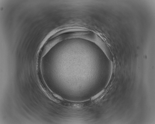 X0000084580056200703021541