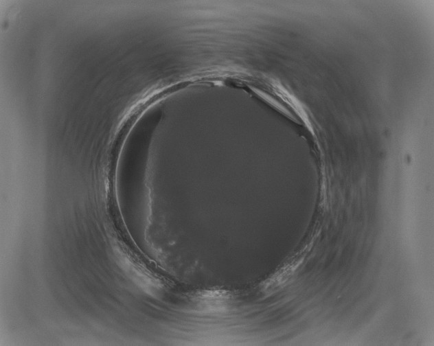 X0000084580059200703021541