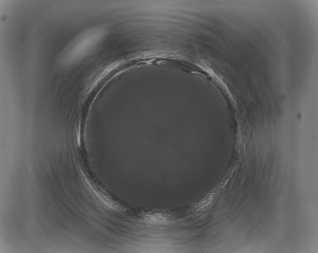 X0000084580062200703021541