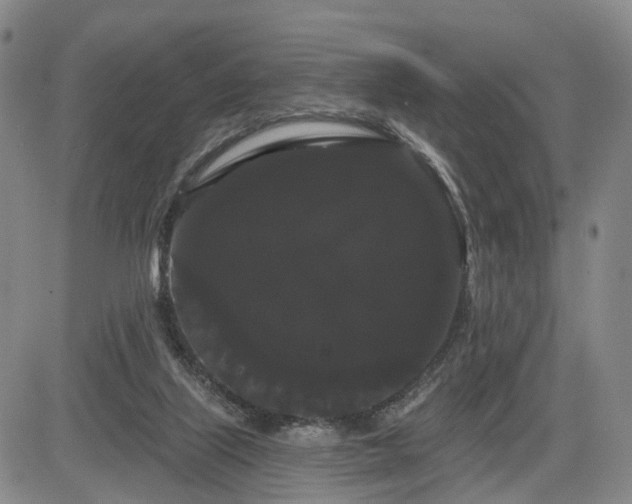 X0000084580067200703021541