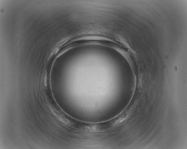 X0000084580068200703021541