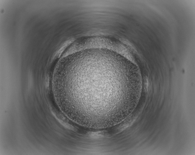 X0000084580072200703021541