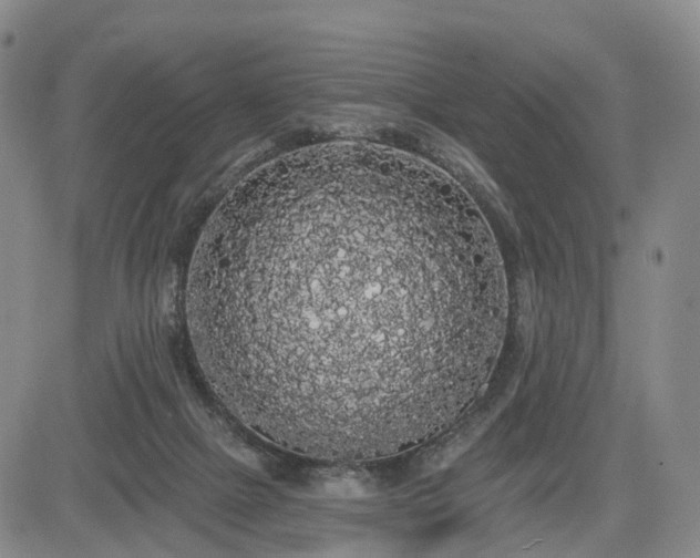 X0000084580073200703021541