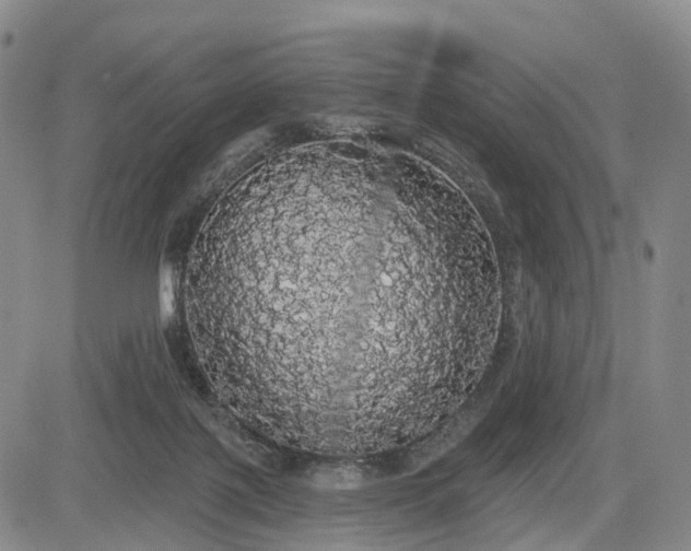X0000084580075200703021541
