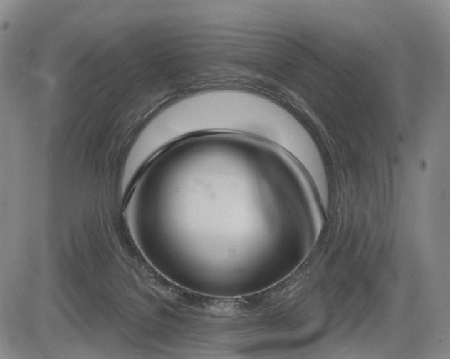 X0000084580076200703021541