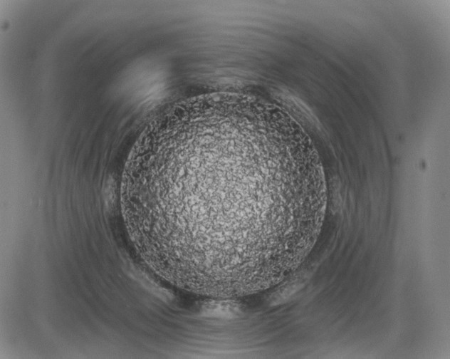 X0000084580077200703021541