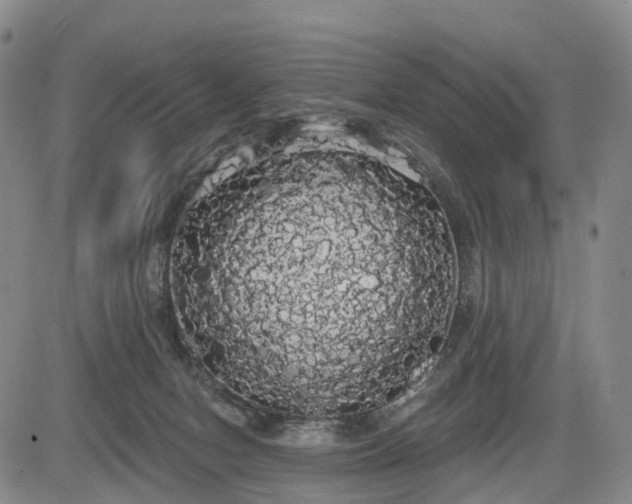 X0000084580078200703021541