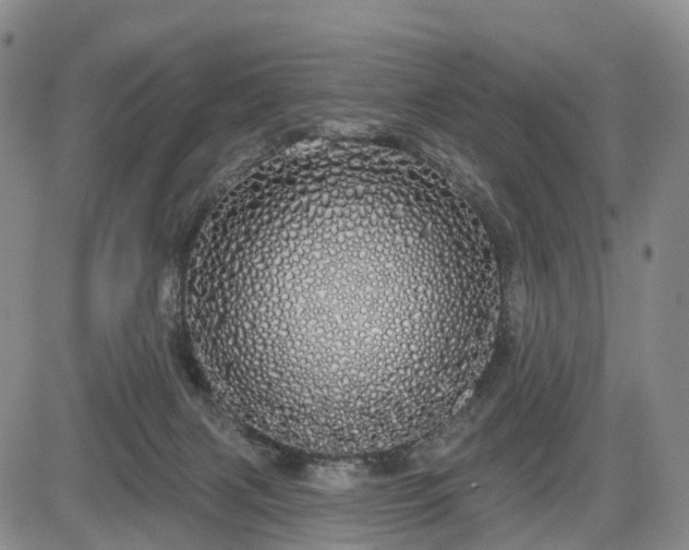 X0000084580079200703021541