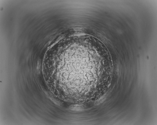 X0000084580082200703021541