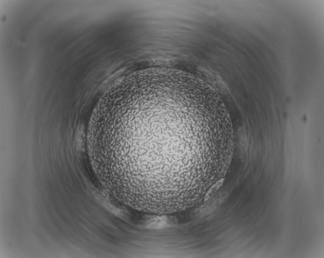 X0000084580083200703021542