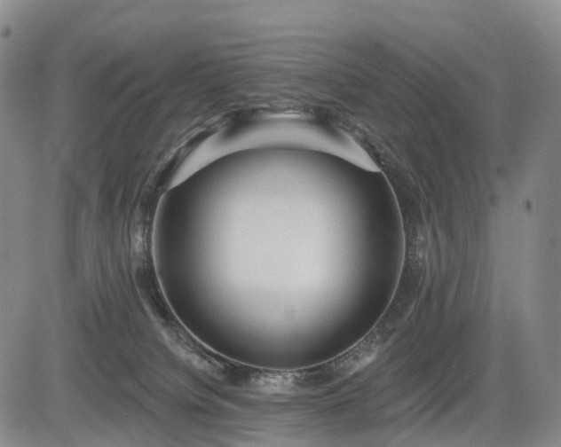 X0000084580084200703021542