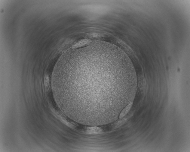 X0000084580087200703021542