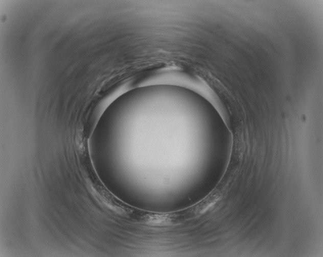 X0000084580088200703021542