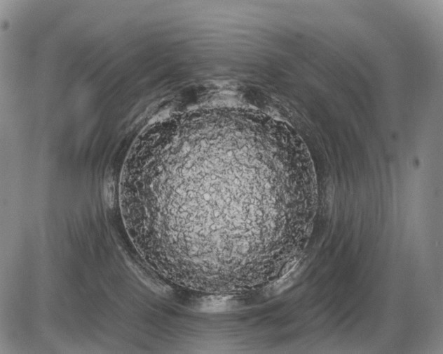 X0000084580090200703021542