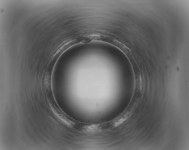 X0000084580092200703021542