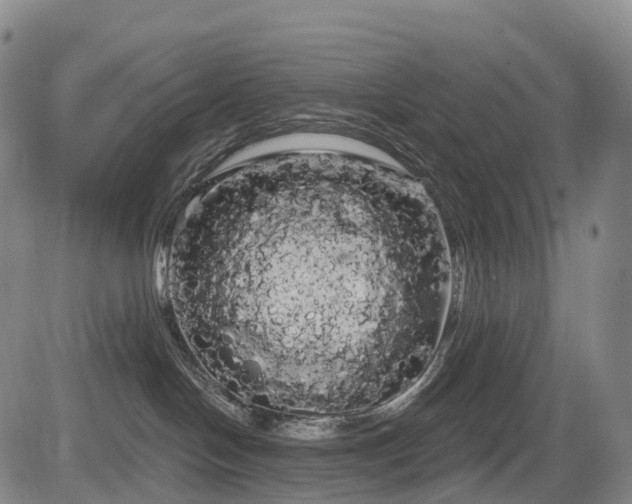 X0000084580094200703021542