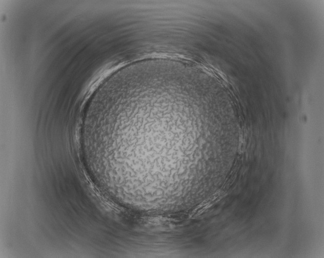 X0000084580098200703021541