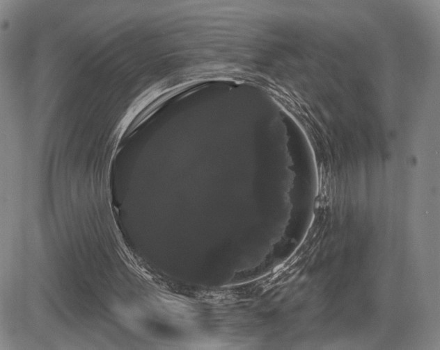 X0000084580099200703021541