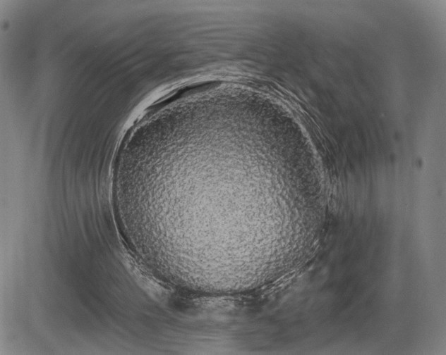 X0000084580100200703021541