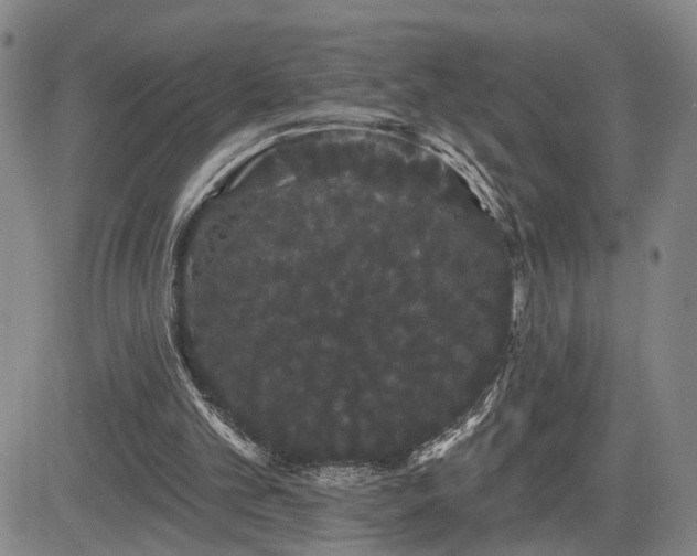 X0000084580101200703021541