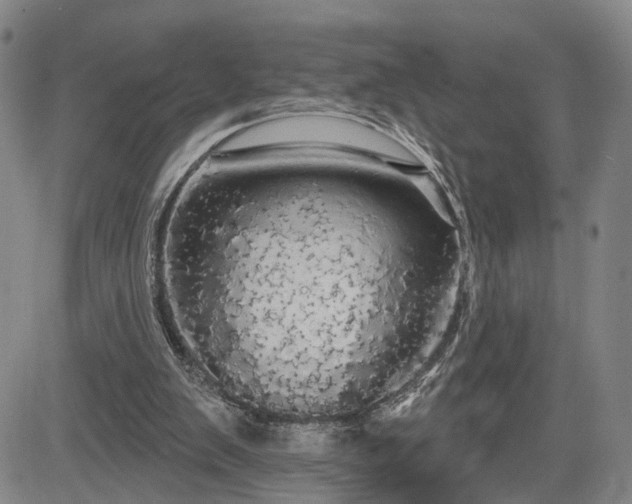 X0000084580103200703021541