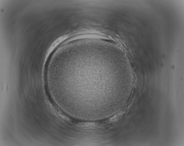 X0000084580104200703021541