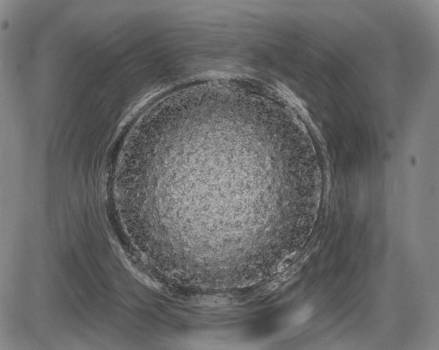 X0000084580106200703021541