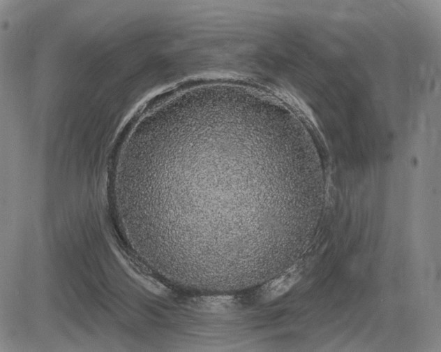 X0000084580108200703021541