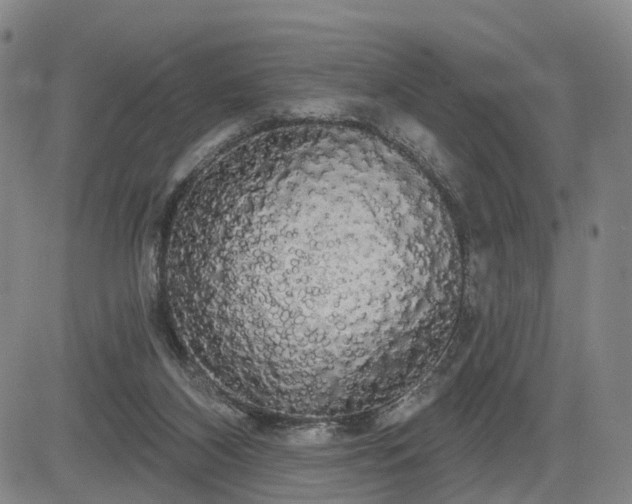 X0000084580116200703021541