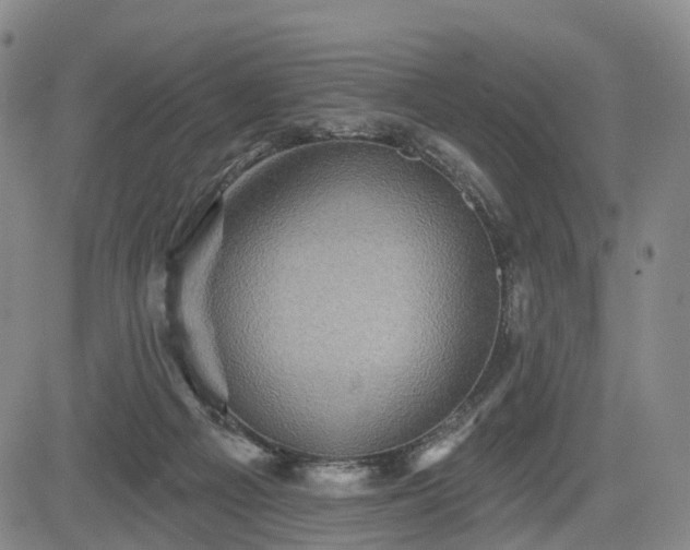 X0000084580121200703021540