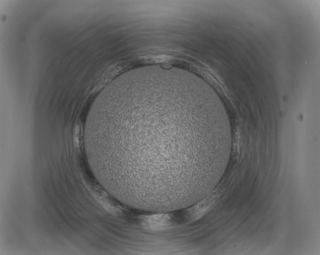 X0000084580122200703021540