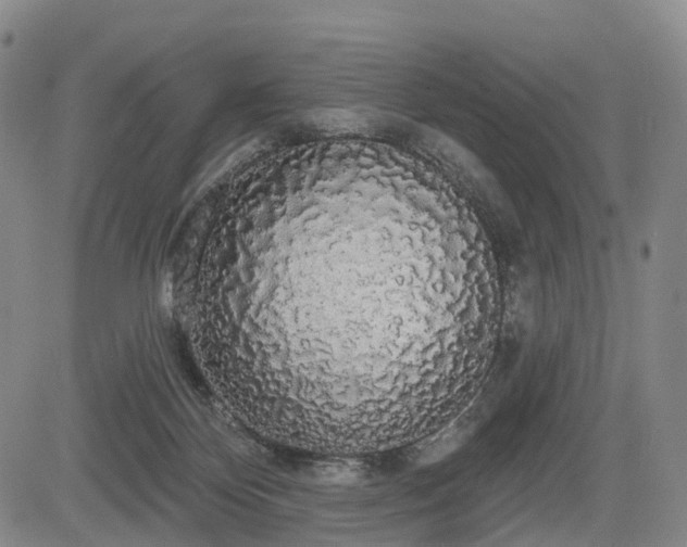 X0000084580124200703021540
