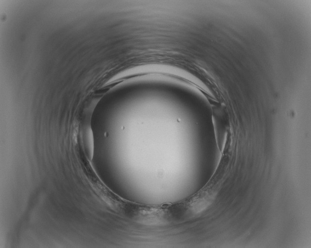 X0000084580125200703021540
